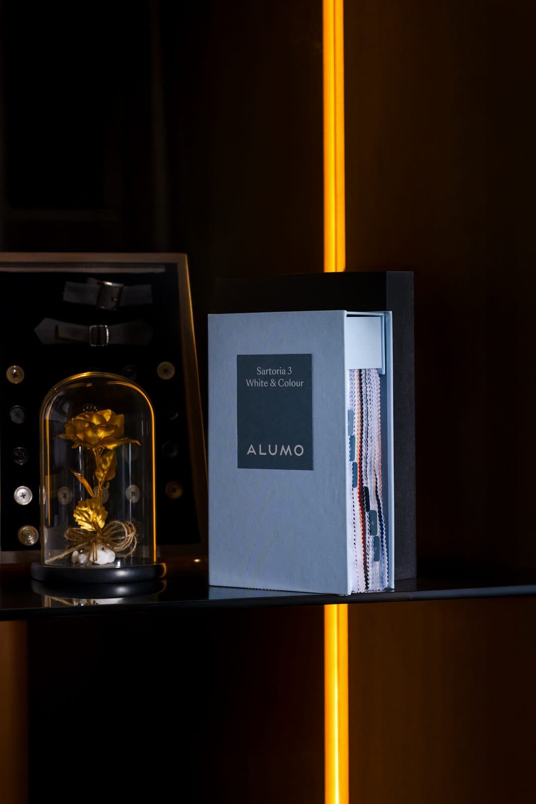 Albeer — studio still