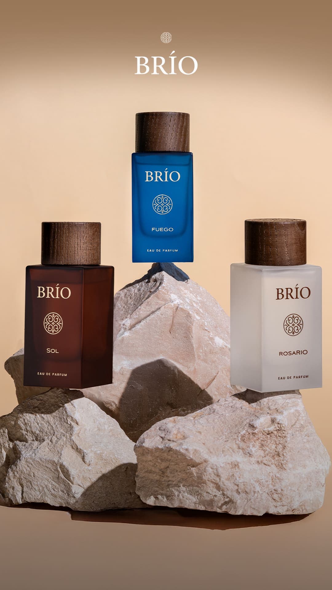 BRIO — studio still