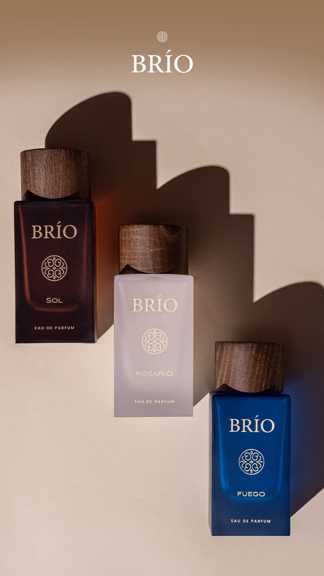 BRIO — studio still