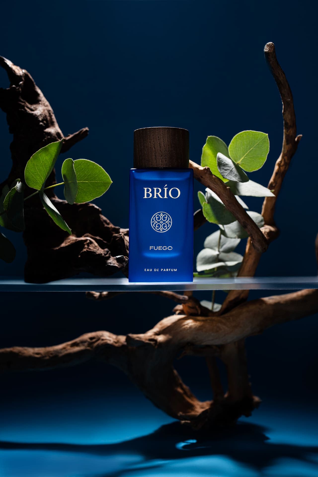 BRIO — studio still