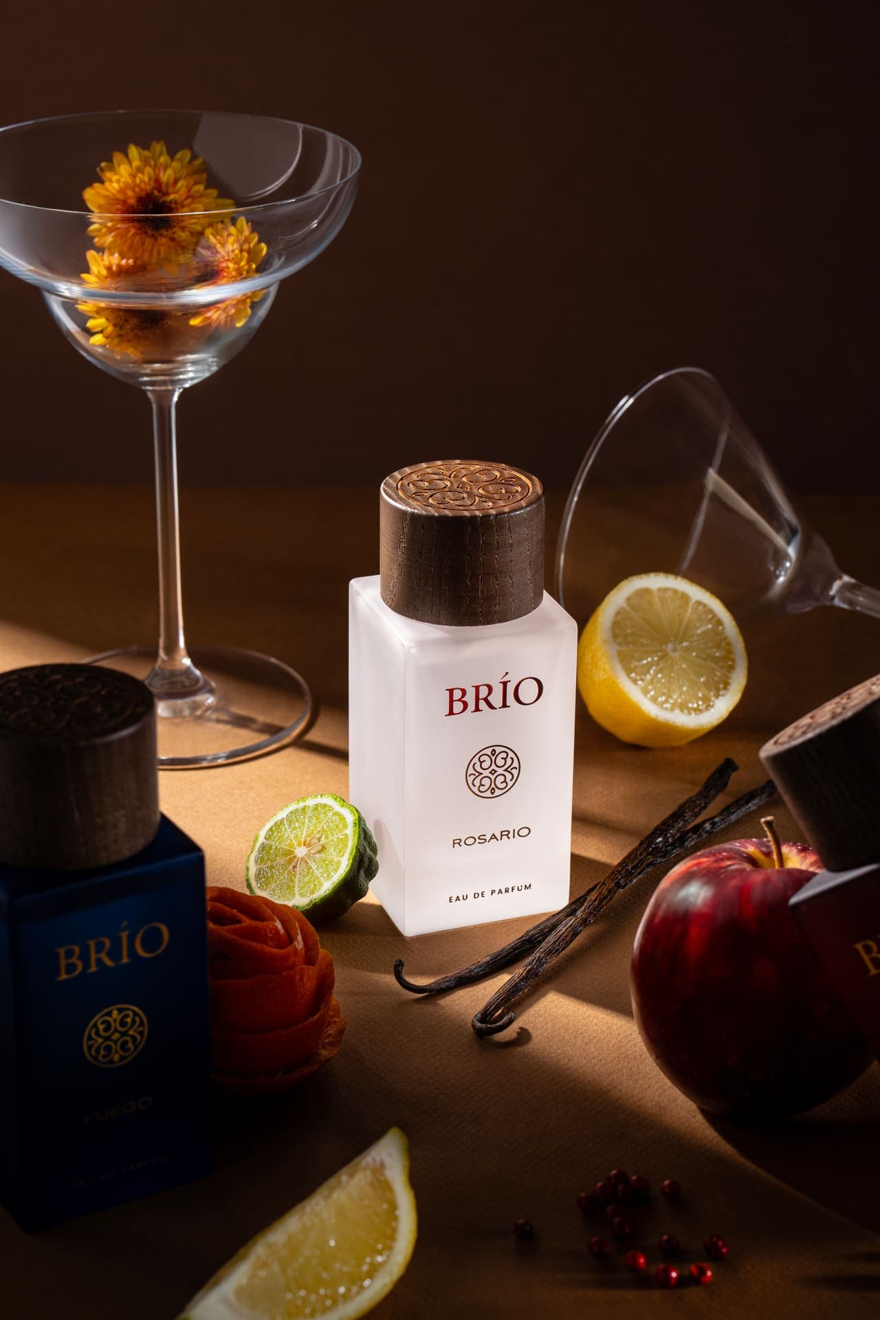 BRIO — studio still