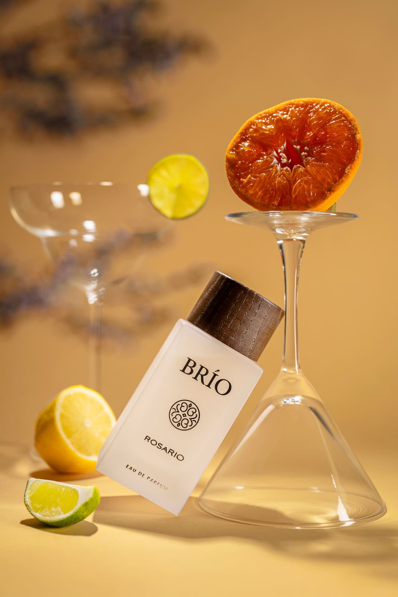 BRIO — studio still