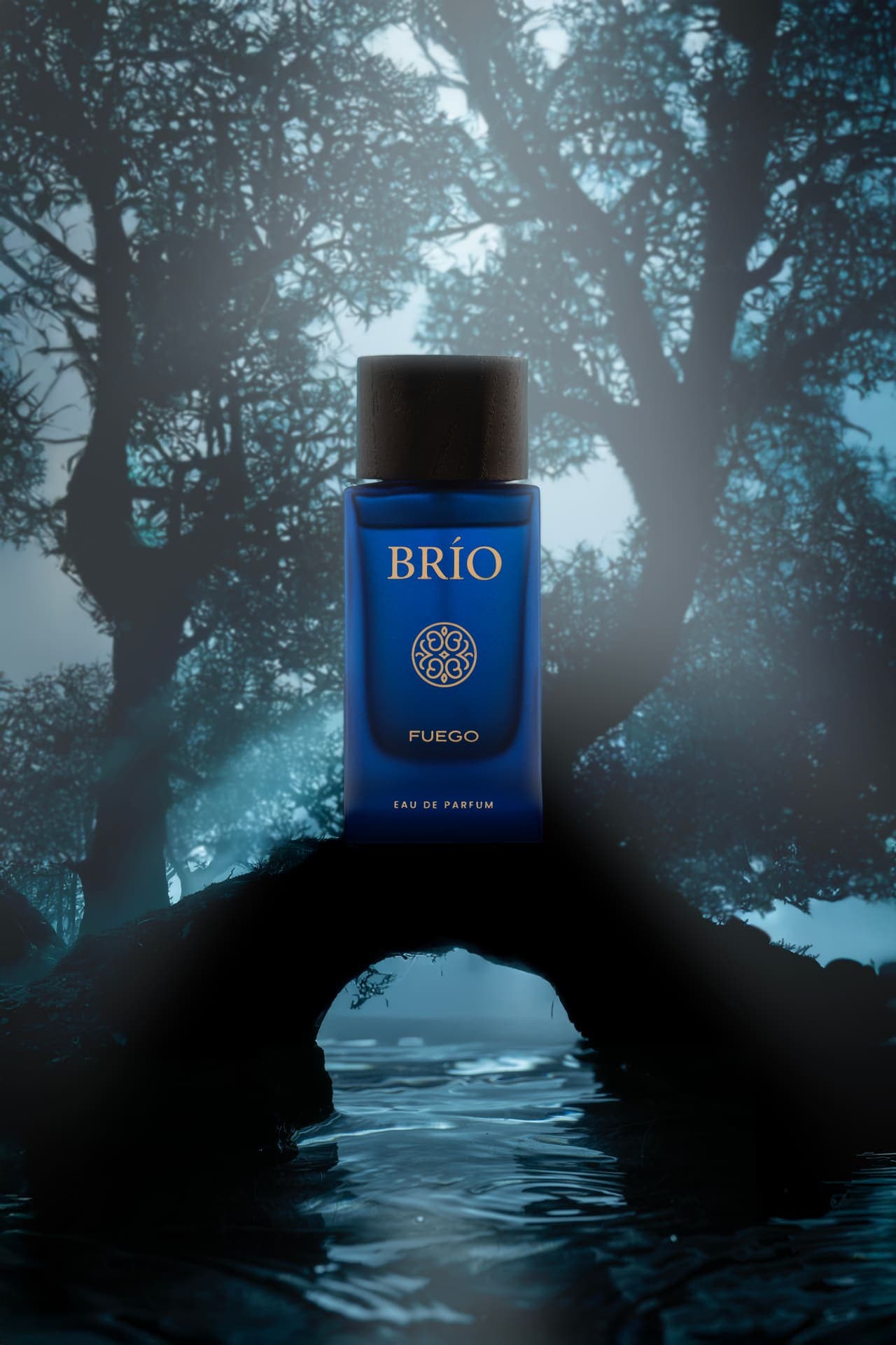 BRIO — studio still