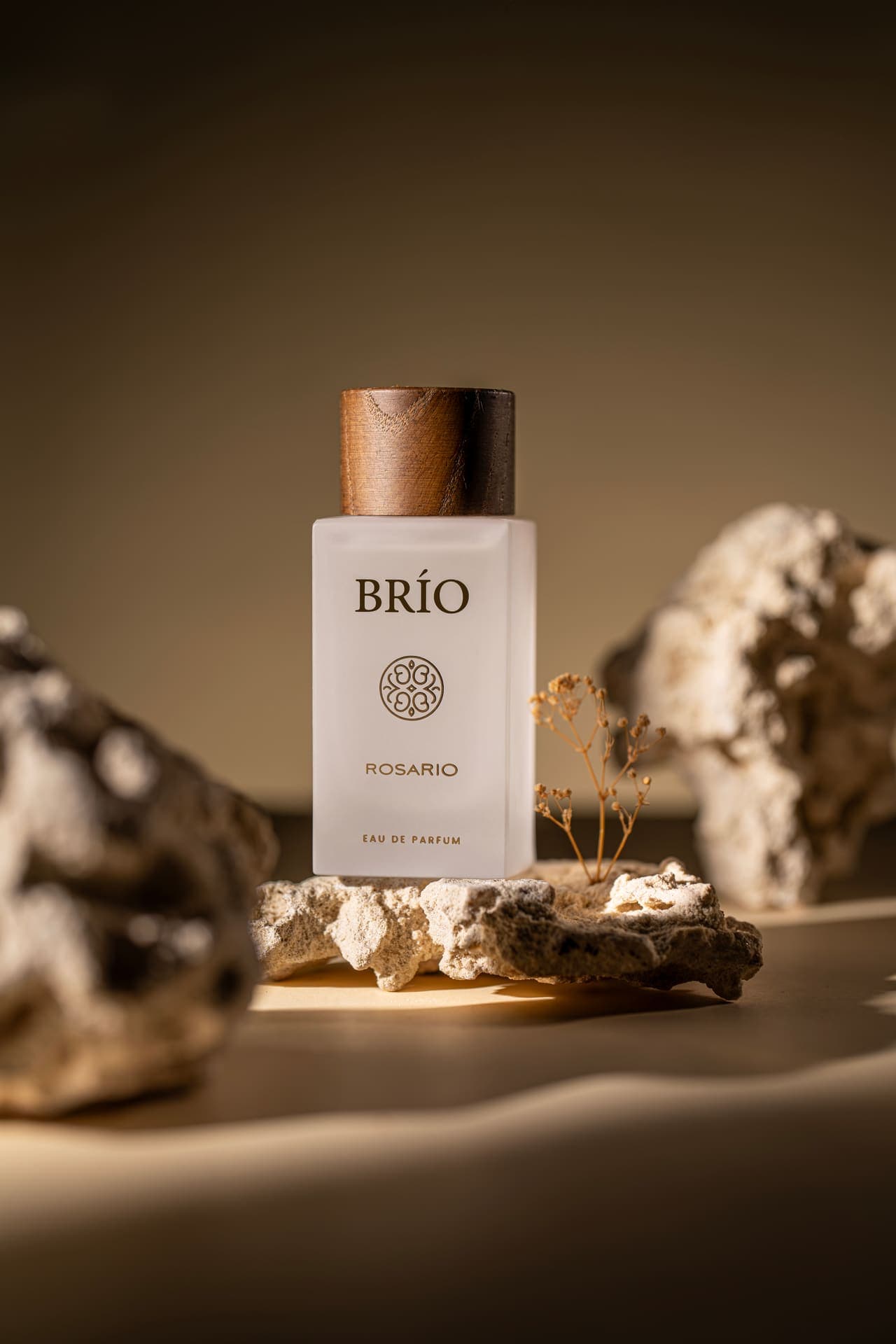 BRIO — studio still