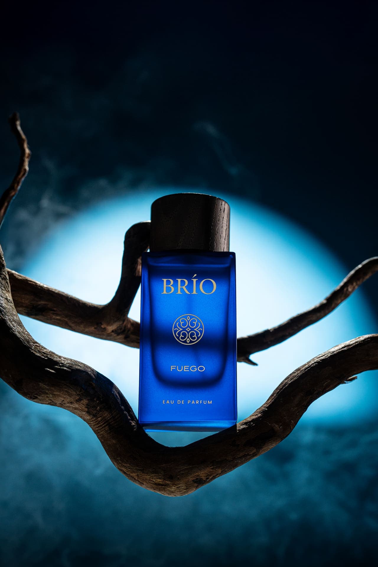 BRIO — studio still
