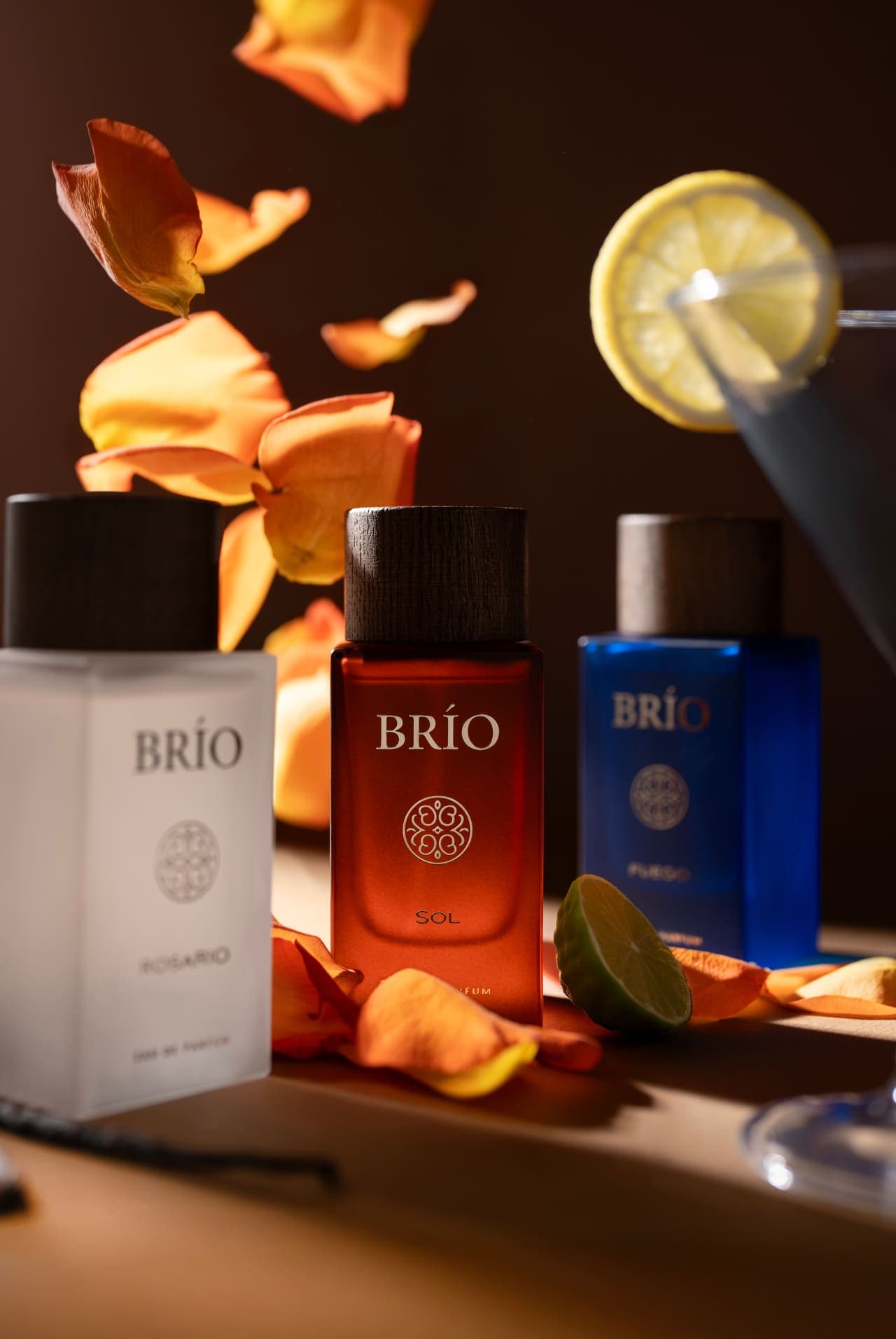 BRIO — studio still
