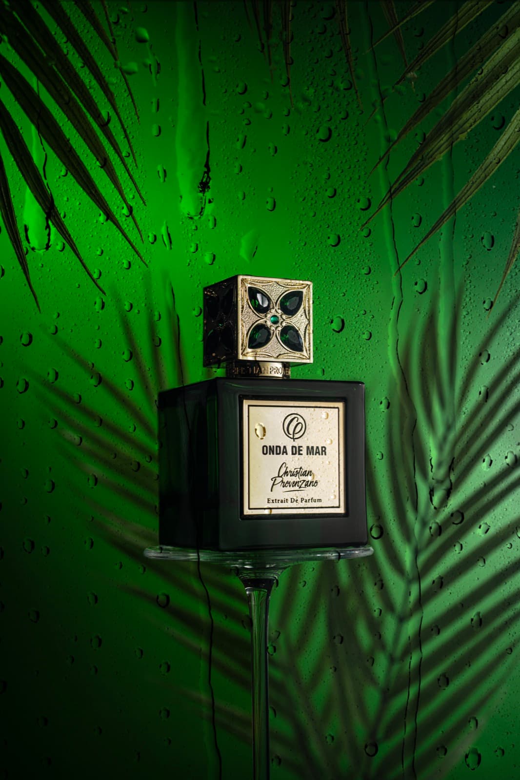 Christian Provenzano — studio still