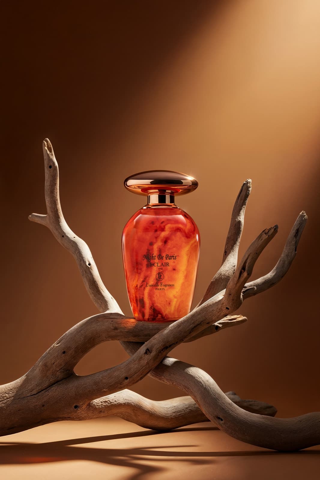 L'Orientale — studio still