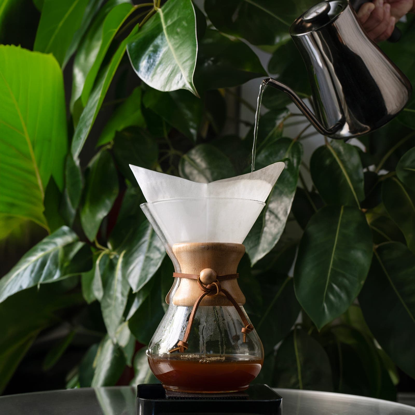 Specialty-coffee photography 15 of 46 — AIR Specialty Coffee, Innovex Agency