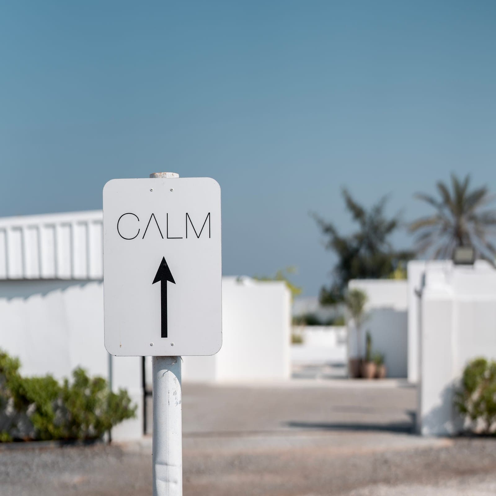 Resort location photography 15 of 18 — Calm Resort, Innovex Agency